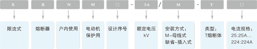 XRNM系列电动机限流熔断器的型号及含义