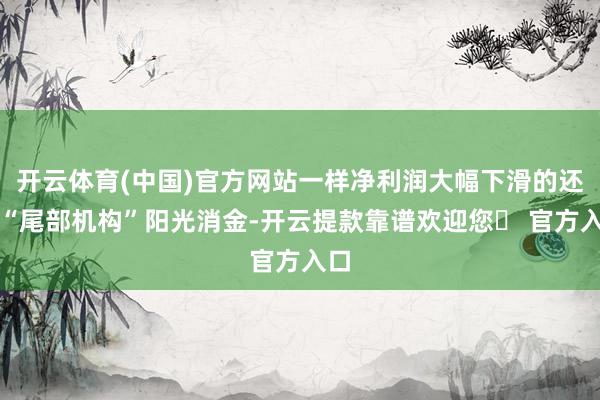 开云体育(中国)官方网站一样净利润大幅下滑的还有“尾部机构”阳光消金-开云提款靠谱欢迎您✅ 官方入口