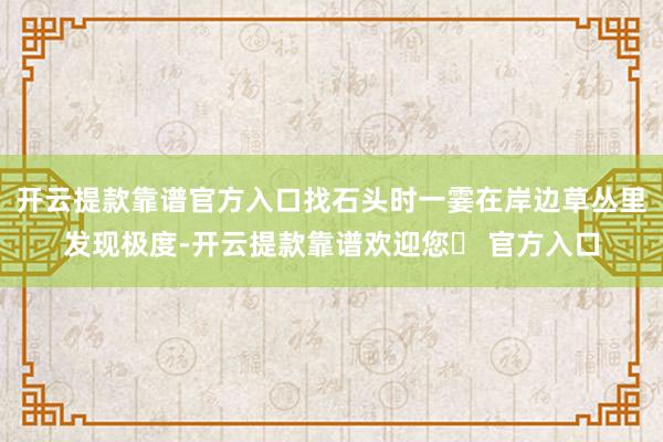 开云提款靠谱官方入口找石头时一霎在岸边草丛里发现极度-开云提款靠谱欢迎您✅ 官方入口
